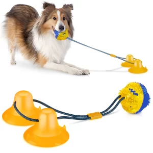 Dog Learning Toys