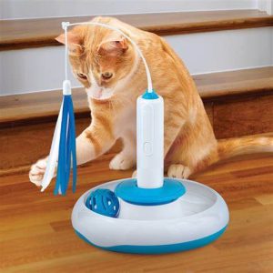 Interactive Cat Toys